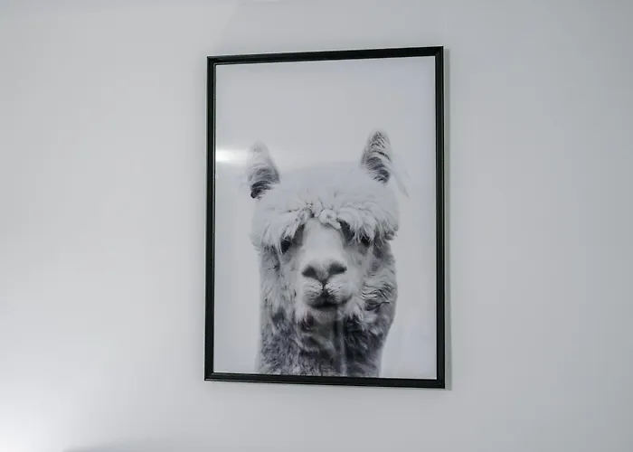 Beautiful 3 Bedroom Sleeps 8 With Parking By Purestay * Bradford (West Yorkshire)